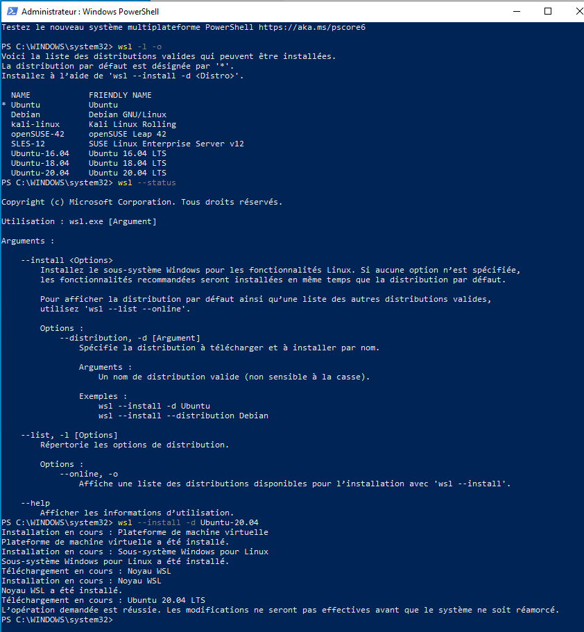 ../_images/Windows_10_PowerShell_WSL2.png