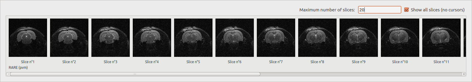 ../_images/show_all_slices.png